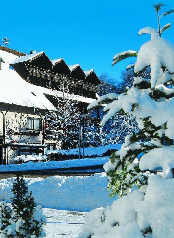 Hotel Schwarzwaldhof Енцклестерле Екстер'єр фото