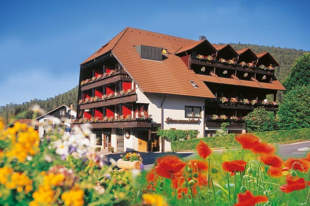 Hotel Schwarzwaldhof Енцклестерле Екстер'єр фото