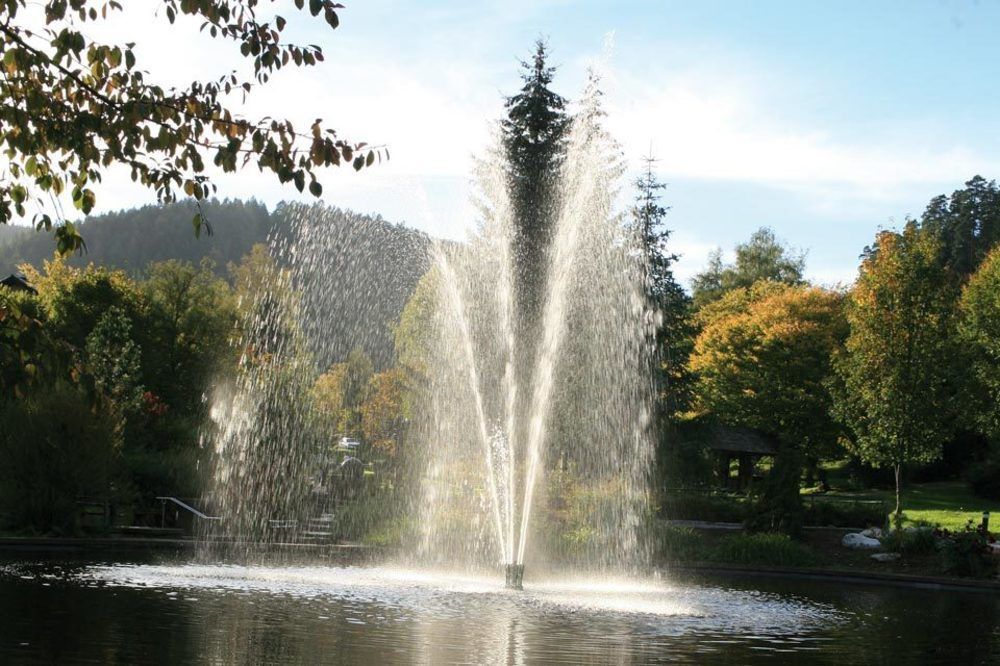 Hotel Schwarzwaldhof Енцклестерле Екстер'єр фото